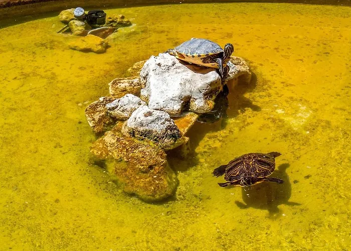 Treasurerome Forum Terrace Řím